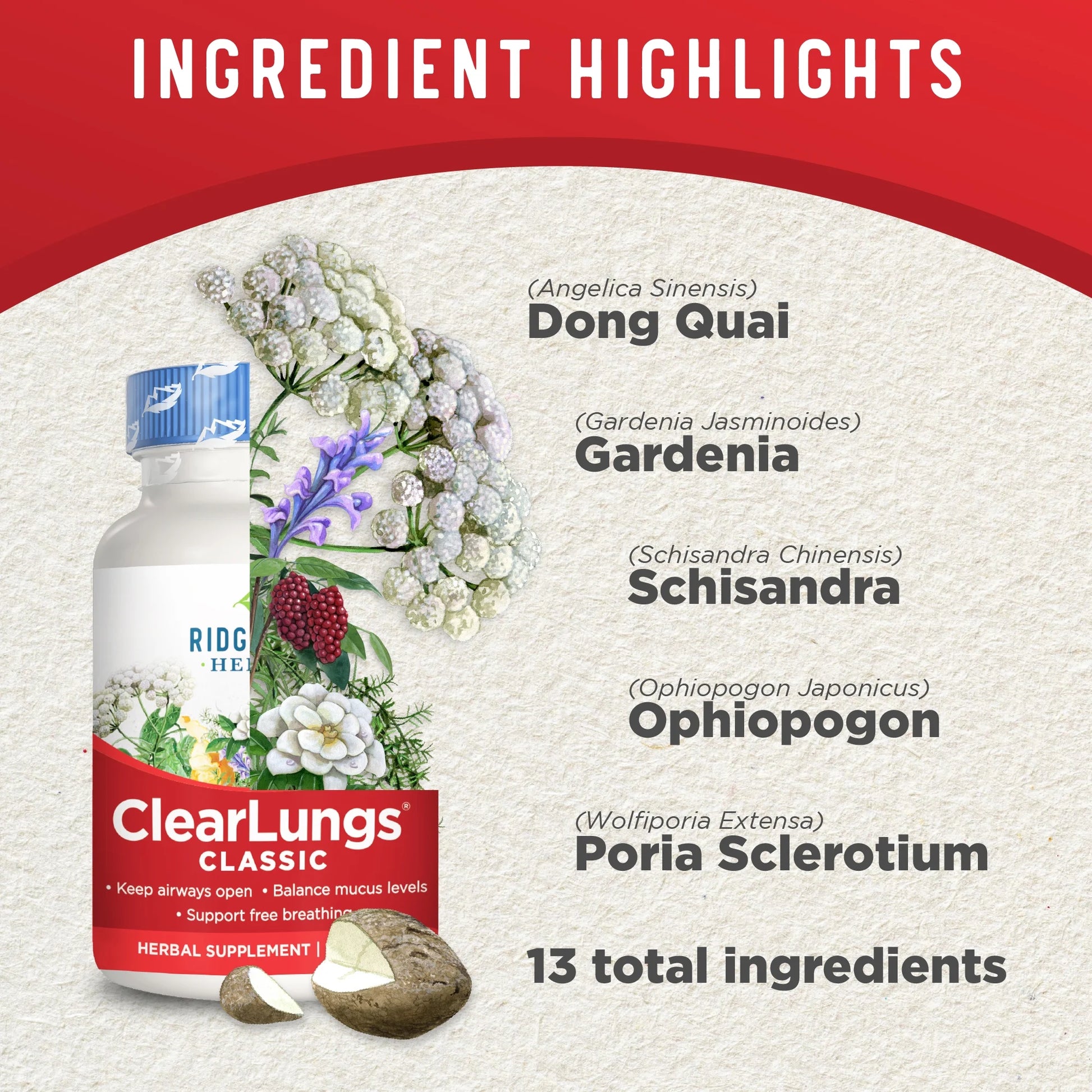 Clearlungs Classic, Natural Lung and Nasal Daily Health Supplement for Bronchial, Respiratory, Immune, Sinus, and Mucus Wellness Support, Herbal Formula (60 Caps, 30 Serv)