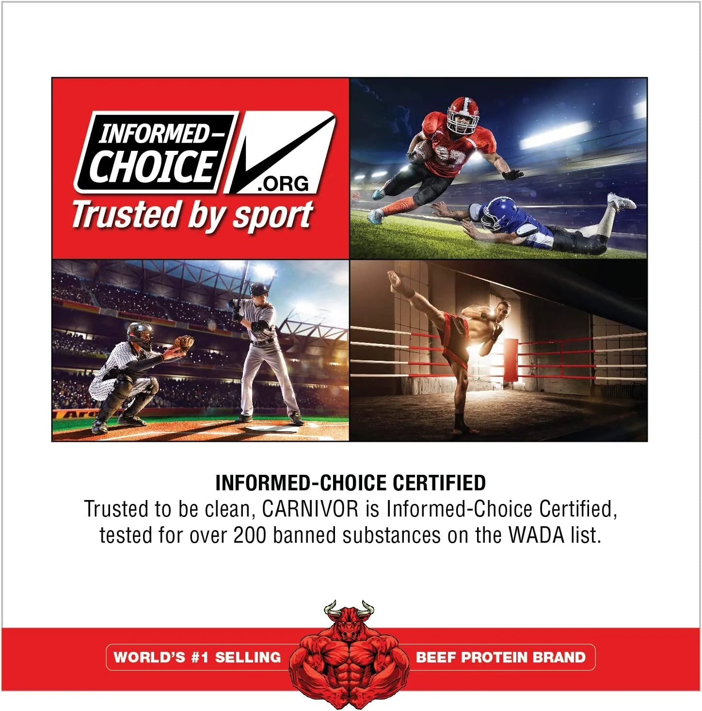 CARNIVOR Beef Protein Isolate, Muscle Building & Recovery, Lactose Free, Sugar Free, Fat Free, Chocolate, 2.25 Lbs, 28 Servings