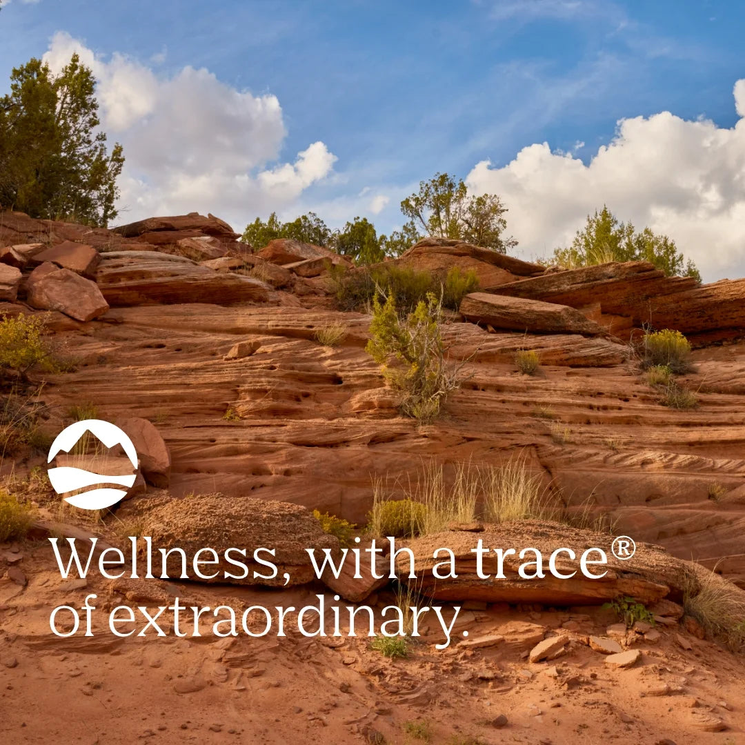 Minerals NO! Muscle Cramps - Supports Dehydration & Aids against Muscle Cramps - Electrolyte Support to Aid Endurance - Liquid Supplement with Magnesium & Potassium - 4.06 Fl Oz (60 Servings)