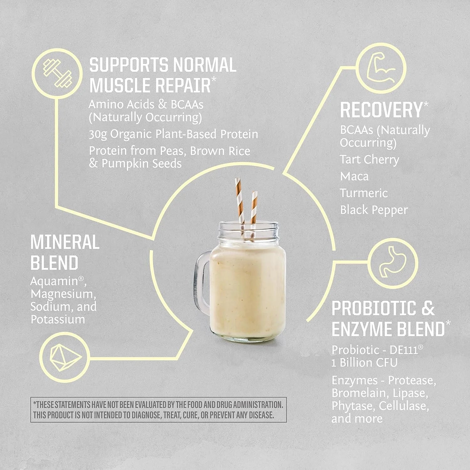 Sport Organic Active Protein Vanilla Vegan Protein Powder 20 Servings