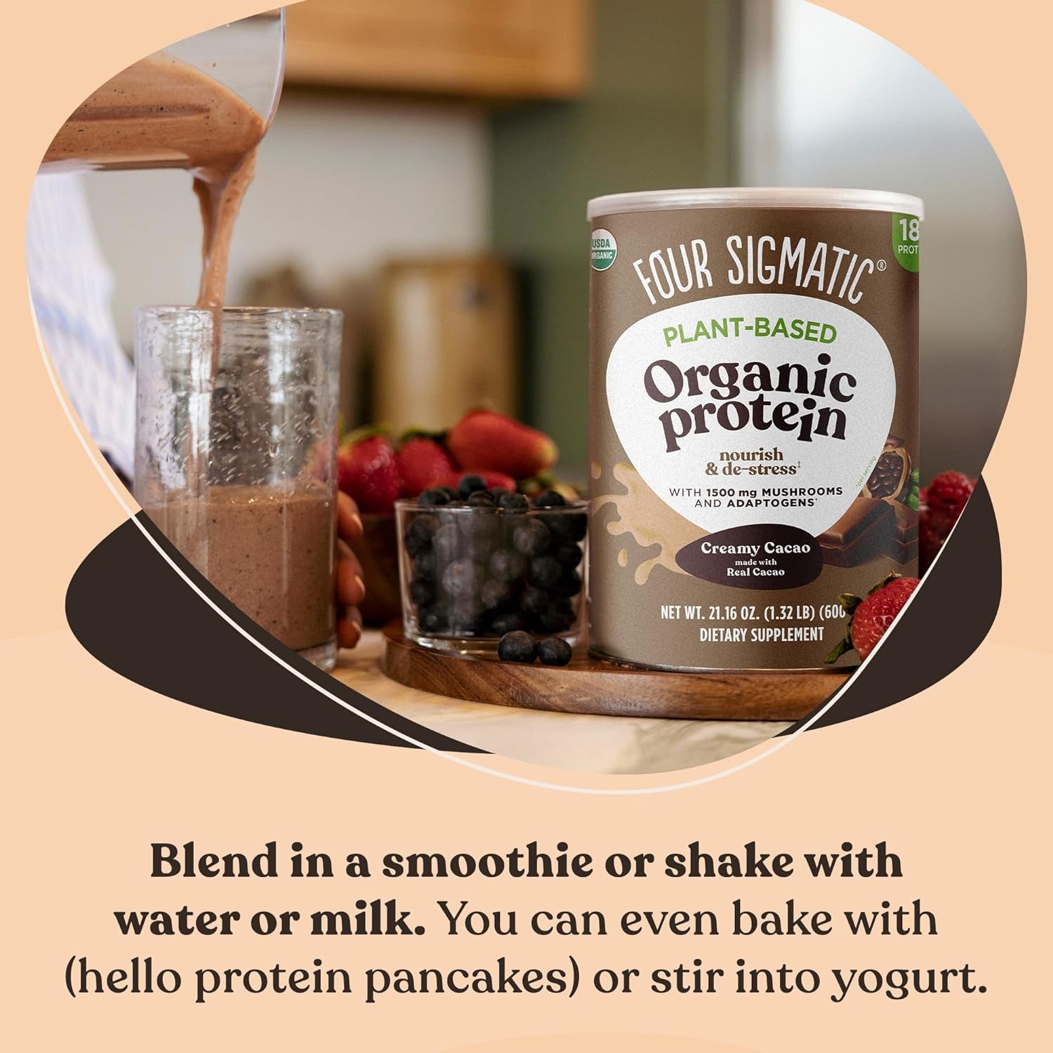 Organic Plant-Based Protein Powder Creamy Cacao Protein with Lion’S Mane, Chaga, Cordyceps and More | Clean Vegan Protein Elevated for Brain Function and Immune Support | 21.16 Oz