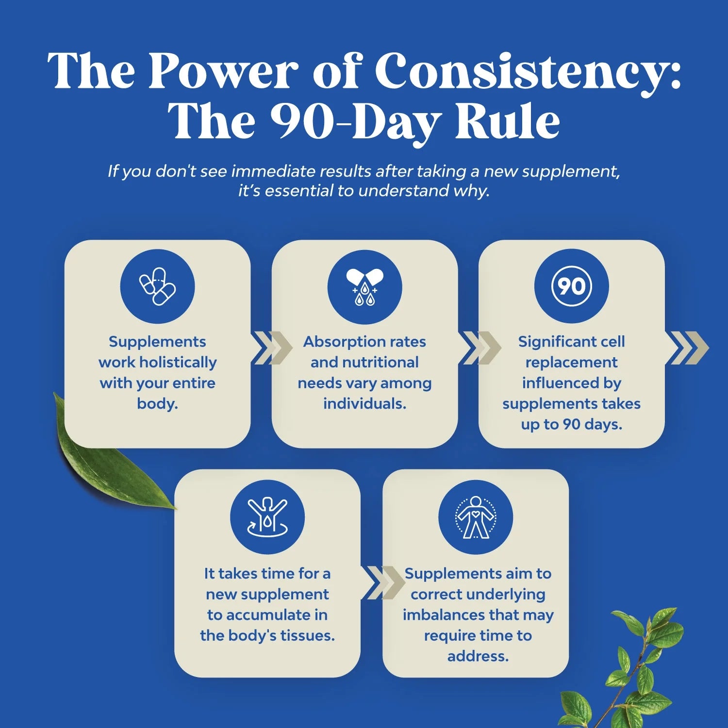 Advanced Diindolylmethane Dim Supplement for Men - Herbal Test Supplement for Men with Dim 200Mg per Serving Panax Ginseng Grapeseed Astragalus and Bioperine - Estrogen Hormone Balance Dim Complex