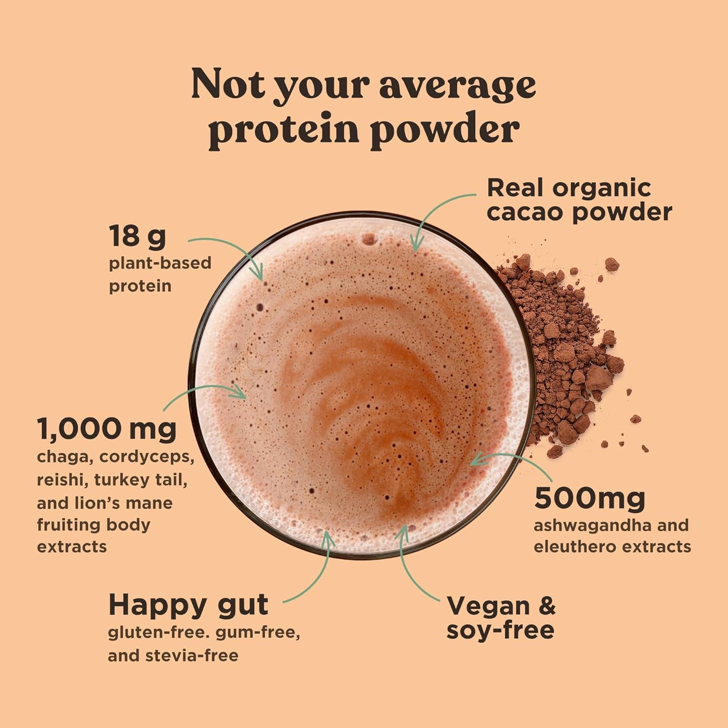 Organic Plant-Based Protein Powder Creamy Cacao Protein with Lion’S Mane, Chaga, Cordyceps and More | Clean Vegan Protein Elevated for Brain Function and Immune Support | 21.16 Oz