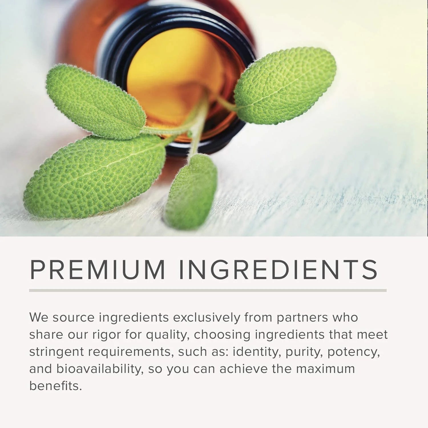 4000Mg Cardamom Extract, 200 Vegetarian Capsules for Optimal Health, Non-Gmo & Gluten-Free, Dietary Supplement for Unisex Adult Health & Wellness